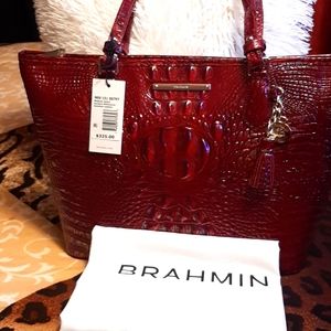Like New Brahmin Bag